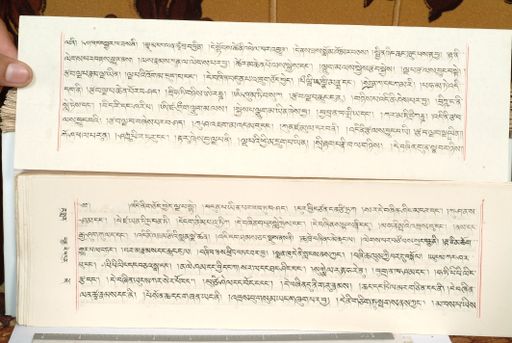 canvas: 1559fp_LTWA_800