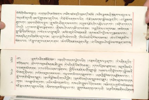 canvas: 1559cw_LTWA_800