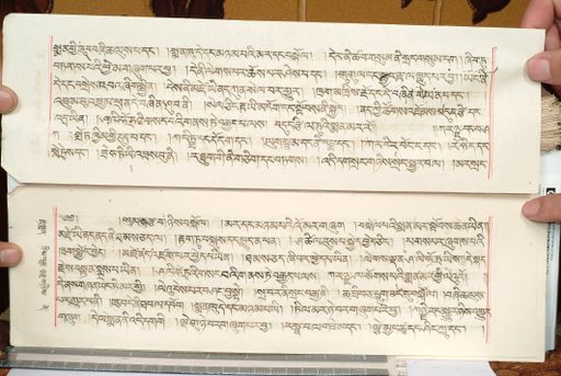 canvas: 1559hj_LTWA_800