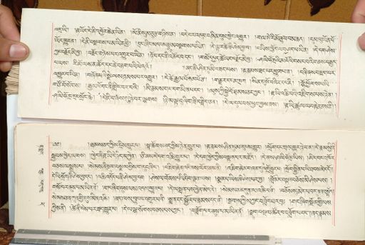 canvas: 1559gm_LTWA_800