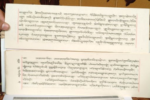 canvas: 1559fu_LTWA_800