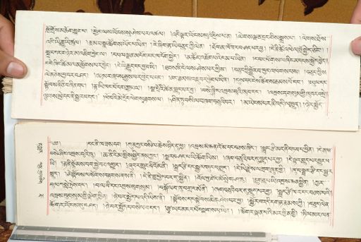 canvas: 1559gd_LTWA_800