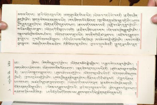 canvas: 1559dk_LTWA_800