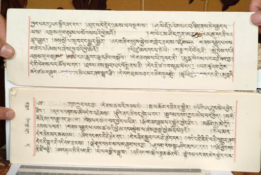 canvas: 1559hc_LTWA_800