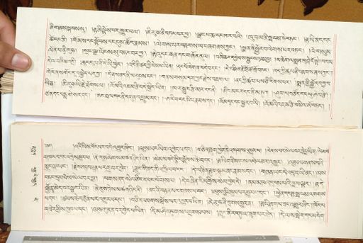 canvas: 1559fq_LTWA_800