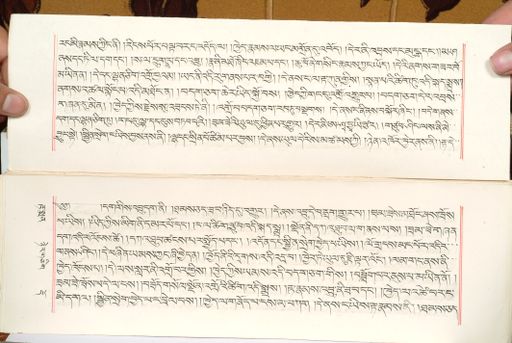 canvas: 1559v_LTWA_800