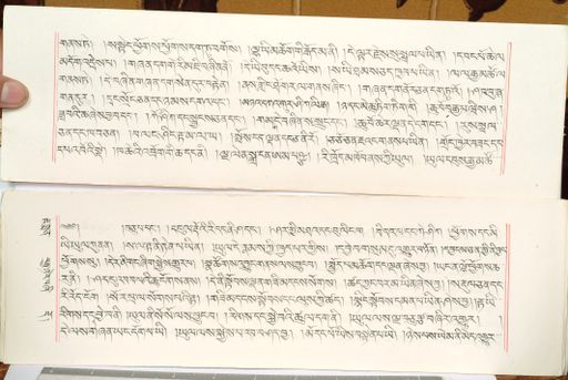 canvas: 1559dx_LTWA_800