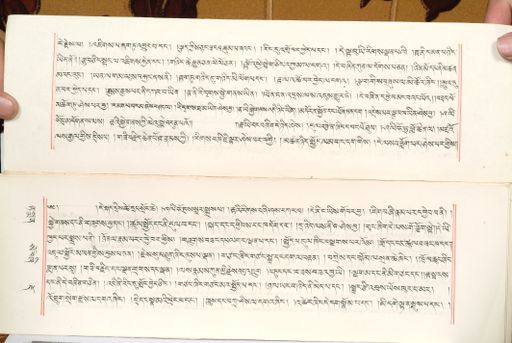 canvas: 1559ai_LTWA_800