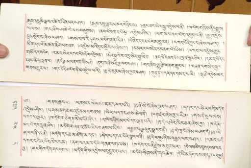 canvas: 1559bo_LTWA_800