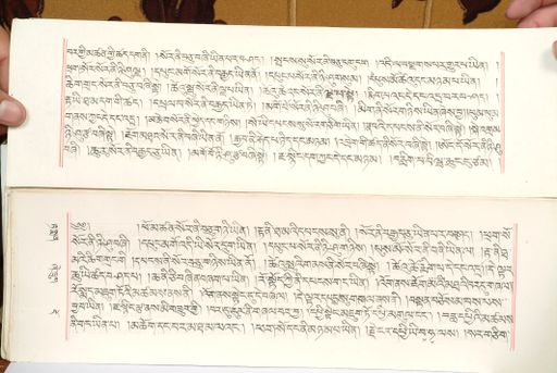 canvas: 1559au_LTWA_800