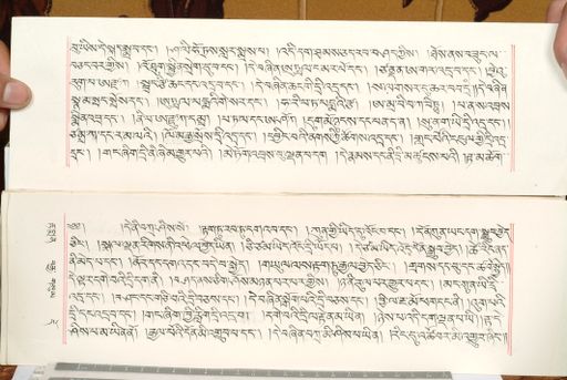 canvas: 1559da_LTWA_800