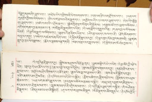 canvas: 1559ax_LTWA_800