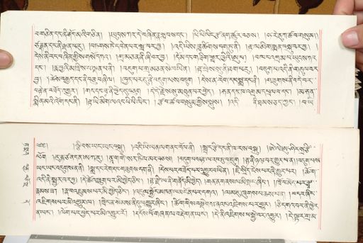 canvas: 1559dn_LTWA_800