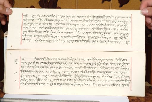 canvas: 1559e_LTWA_800