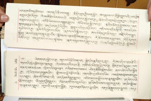 canvas: 1559ex_LTWA_800