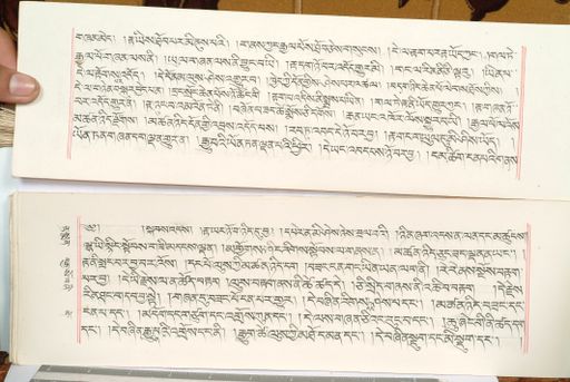 canvas: 1559eh_LTWA_800