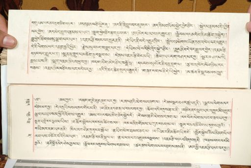 canvas: 1559fn_LTWA_800