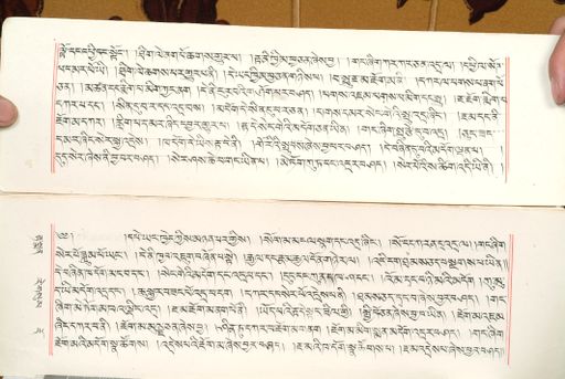 canvas: 1559bm_LTWA_800