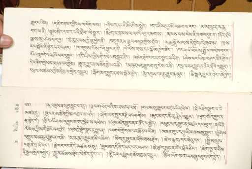 canvas: 1559bt_LTWA_800