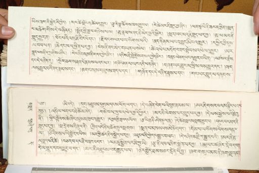 canvas: 1559ew_LTWA_800