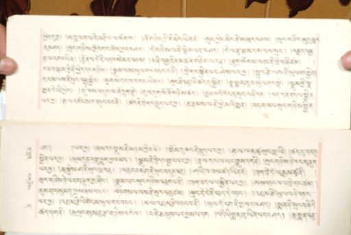 canvas: 1559ba_LTWA_800