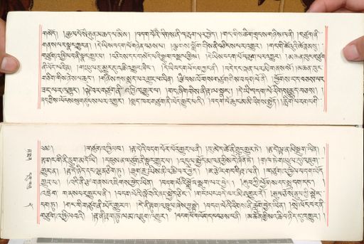 canvas: 1559cn_LTWA_800