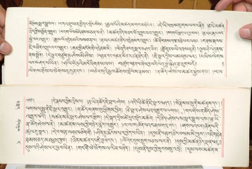 canvas: 1559cq_LTWA_800