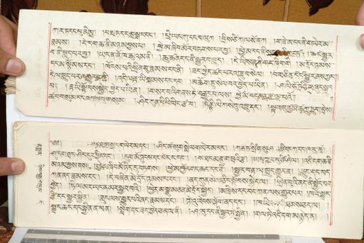 canvas: 1559gz_LTWA_800