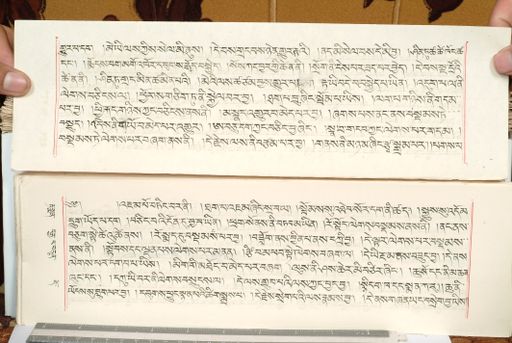 canvas: 1559ff_LTWA_800