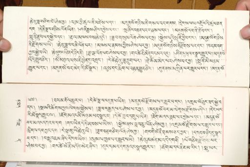 canvas: 1559cs_LTWA_800