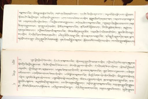 canvas: 1559an_LTWA_800