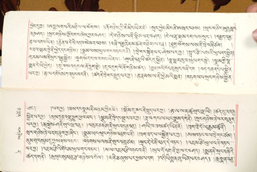 canvas: 1559bb_LTWA_800