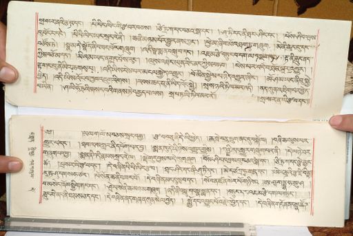 canvas: 1559hk_LTWA_800