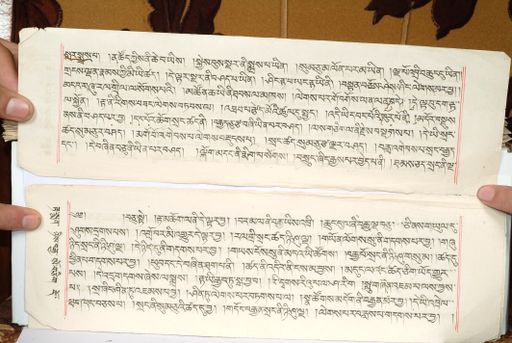 canvas: 1559ic_LTWA_800