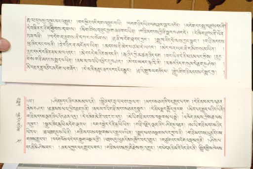 canvas: 1559dv_LTWA_800