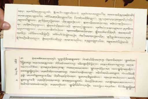 canvas: 1559fr_LTWA_800