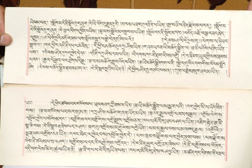 canvas: 1559k_LTWA_800