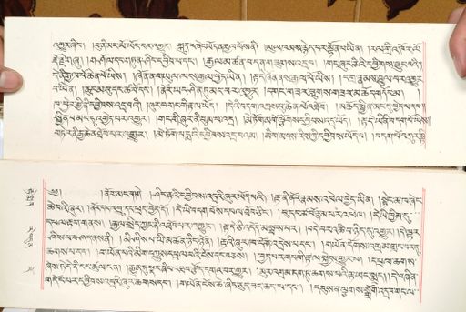 canvas: 1559bq_LTWA_800