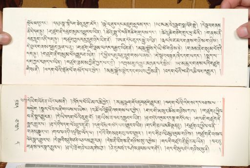 canvas: 1559cl_LTWA_800