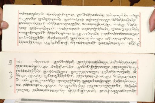 canvas: 1559ce_LTWA_800