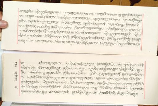 canvas: 1559ec_LTWA_800