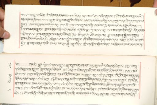 canvas: 1559ab_LTWA_800