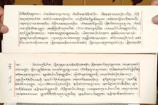 canvas: 1559cc_LTWA_800