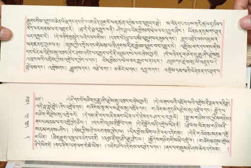 canvas: 1559dg_LTWA_800