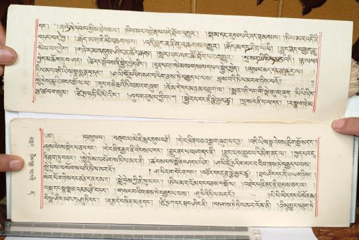 canvas: 1559hl_LTWA_800