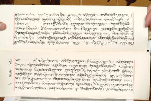 canvas: 1559cd_LTWA_800