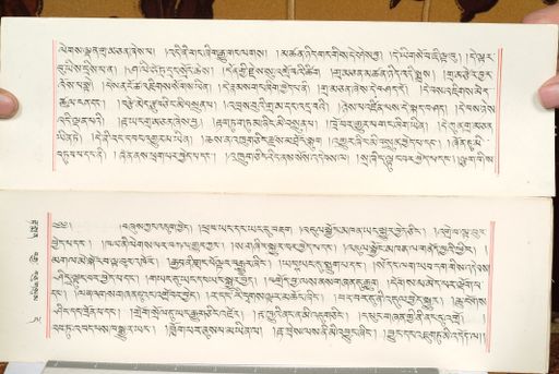 canvas: 1559dl_LTWA_800