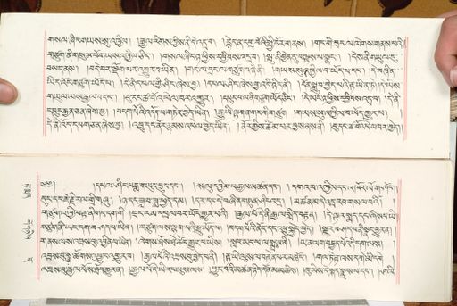 canvas: 1559cp_LTWA_800