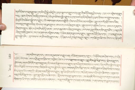 canvas: 1559ad_LTWA_800