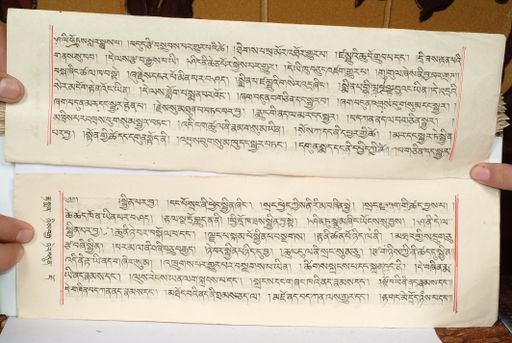 canvas: 1559hy_LTWA_800